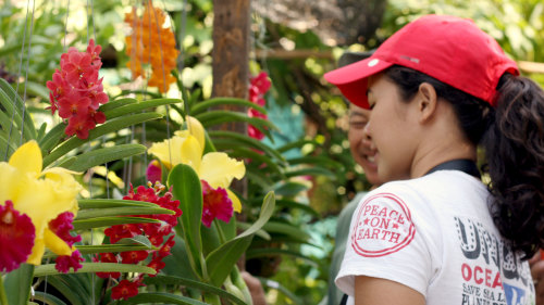 Bangkok of Old Cycling Tour