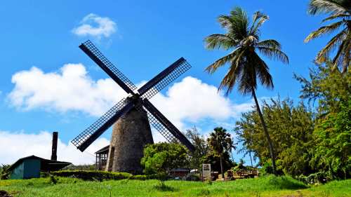 Discover Barbados Past & Present Tour