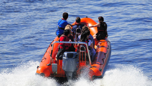 Speedboat Sightseeing Tour of the Mediterranean