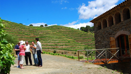 Day Trip to Priorat Region with Rustic Picnic & Winetasting