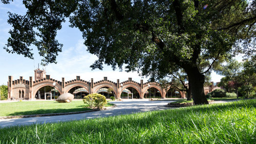 Cava Winery Tour by Miki Tourist