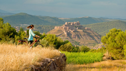 Lord of the Mountain Tour: Cardona Castle, Salt Mine & Winetasting