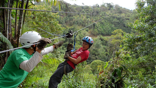 Iguazu Forest Tour