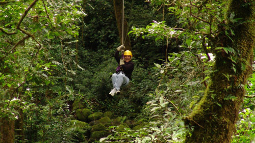 Jungle Zipline & Cave Tubing Adventure