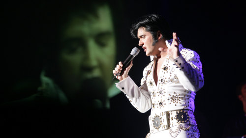 Elvis - Live Show