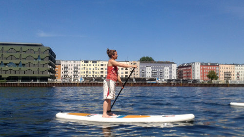 Paddleboard Rental