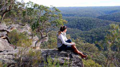 Blue Mountains High Country Day Tour