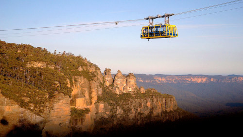 Blue Mountains & Wildlife Day Tour