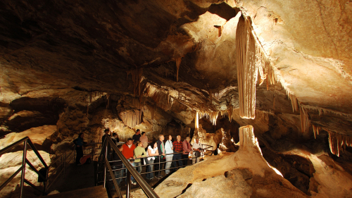 Jenolan Caves & Blue Mountains Tour with River Cruise by FJ Tours