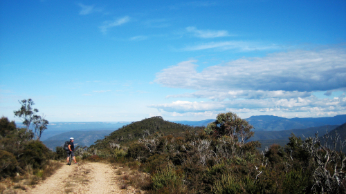 Narrow Neck Trail Mountain Biking Tour by Life