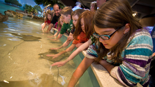 New England Aquarium & Simons IMAX® Theater