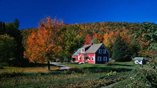 Fall Foliage Guided Excursion
