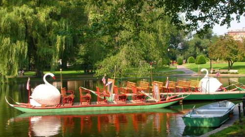 Small-Group Photography Tour of the Public Garden