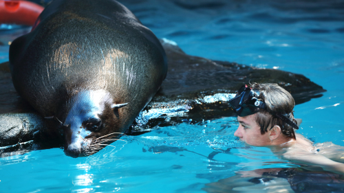 SEA LIFE Mooloolaba Underwater World Admission