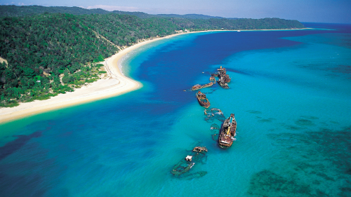 Moreton Island Eco Cruise by Dolphin Wild Cruises