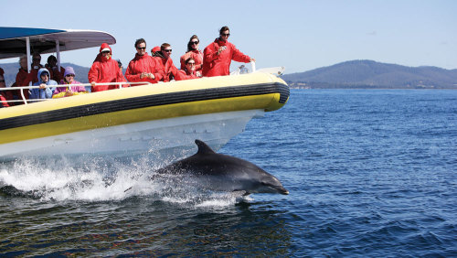 Bruny Island Tour & Wilderness Cruise