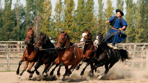 Great Plains, Country Farm & Horse Parade Day Trip with Lunch