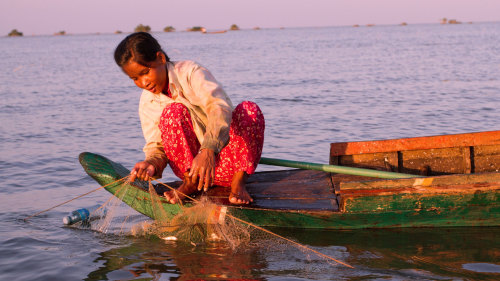 Private Tonlé Sap Lake Cruise by Threeland Travel