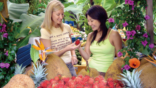 Byron Bay & Tropical Fruit World Day Tour by Australian Day Tours