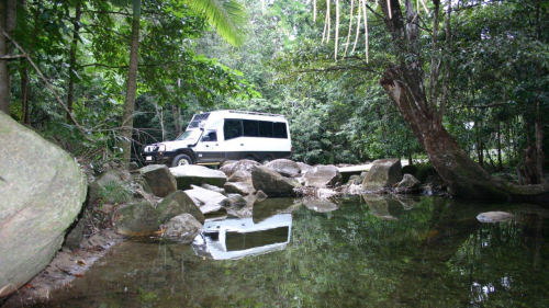 Daintree Wanderer Tour