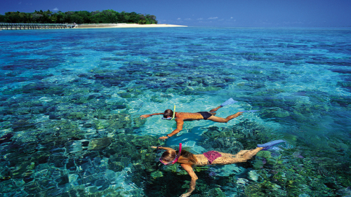 Green Island Reef Cruise