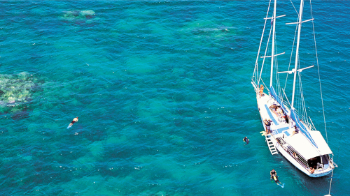 Small-Group Sailing Adventure to Green Island & Reef Snorkel