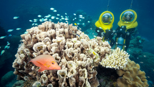 Green Island & Great Barrier Reef Adventure