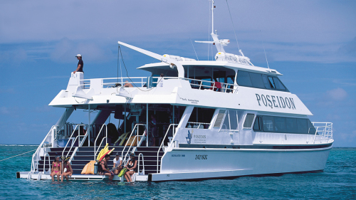 Michaelmas Cay & Reef Cruise