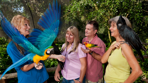 Kuranda Koala Gardens & Birdworld Combo Pass