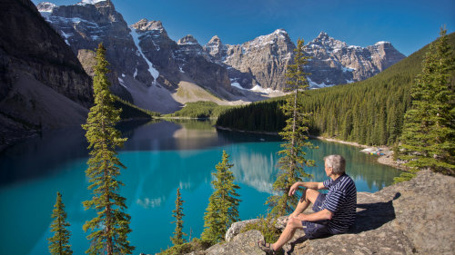 Lake Louise Self-Guided Tour with Lunch