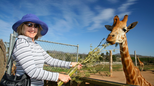 National Zoo & Aquarium Family Tour