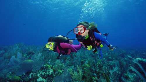 Discover Scuba Diving for Beginners
