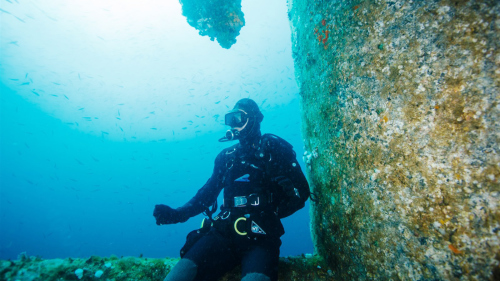 Reef Diving