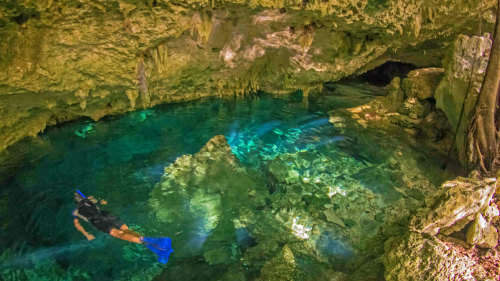 Akumal Cenote & Sea Turtles Snorkeling Tour