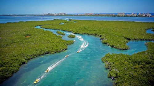 Jungle Speedboat Tour & Snorkeling