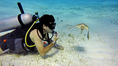 Discover Scuba Diving