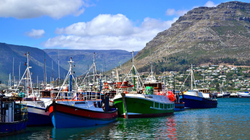 Cape Peninsula Full-Day Tour