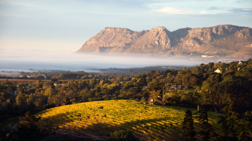 Cape Winelands Full-Day Tour