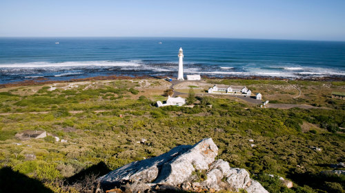 Robben Island & City Center Full-Day Tour