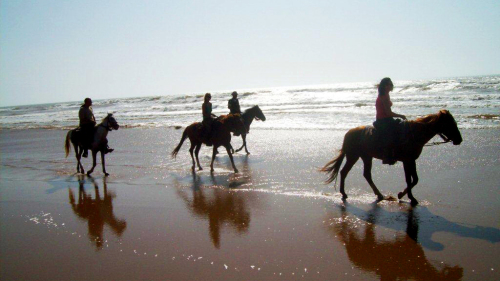 Horse Riding Adventure to the River Souss