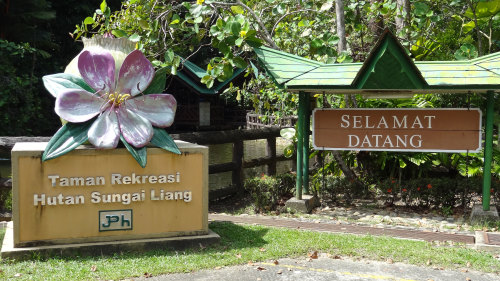 Private Andulau Forest Reserve & Iban Longhouse Tour