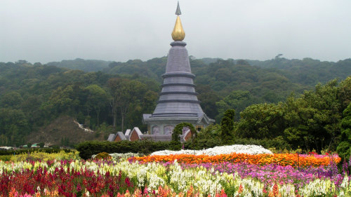 Doi Inthanon National Park Tour with Jungle Trekking