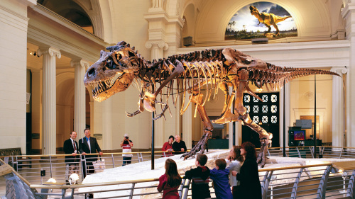 The Field Museum