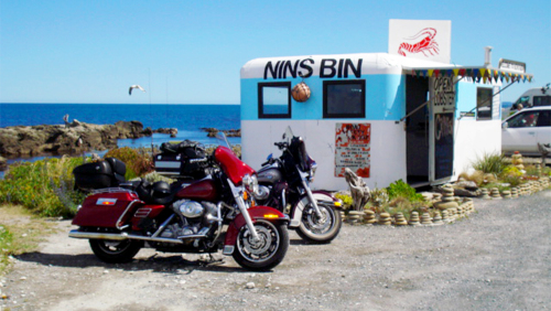 Harley Davidson Chauffeured Kaikoura & Helicopter Whale-Watching Tour