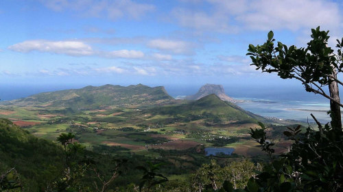 Guided Half-Day Hike