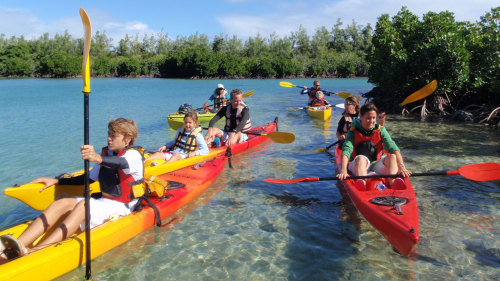 Sea Kayaking to Amber Island Half-Day Tour