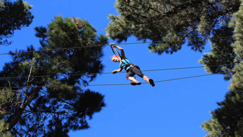 Adrenalin Forest Zipline Course