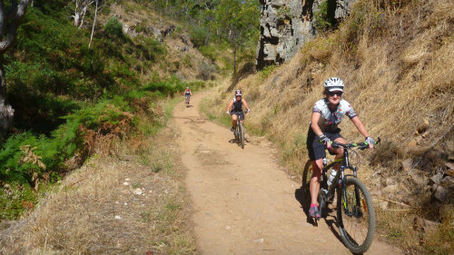 Bicycle Tour of Mount Lofty