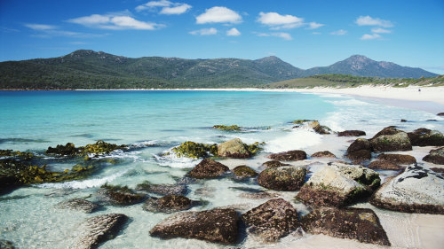 Wineglass Bay Day Tour