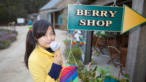 Wineglass Bay & Freycinet Tour by Tours Tasmania